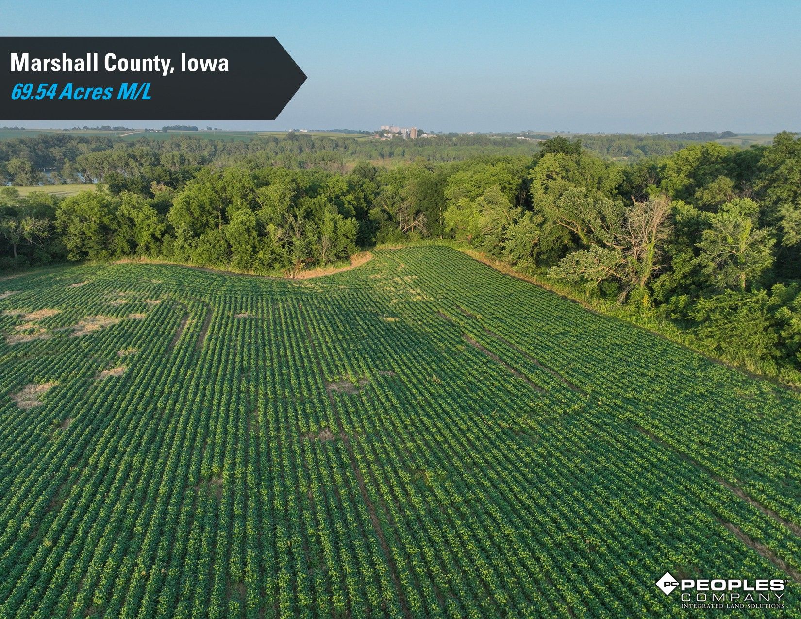 Listing Photo: Marshall-County-Iowa-Online-Land-Auction-Recreational-Property-Smith-Estate (5)